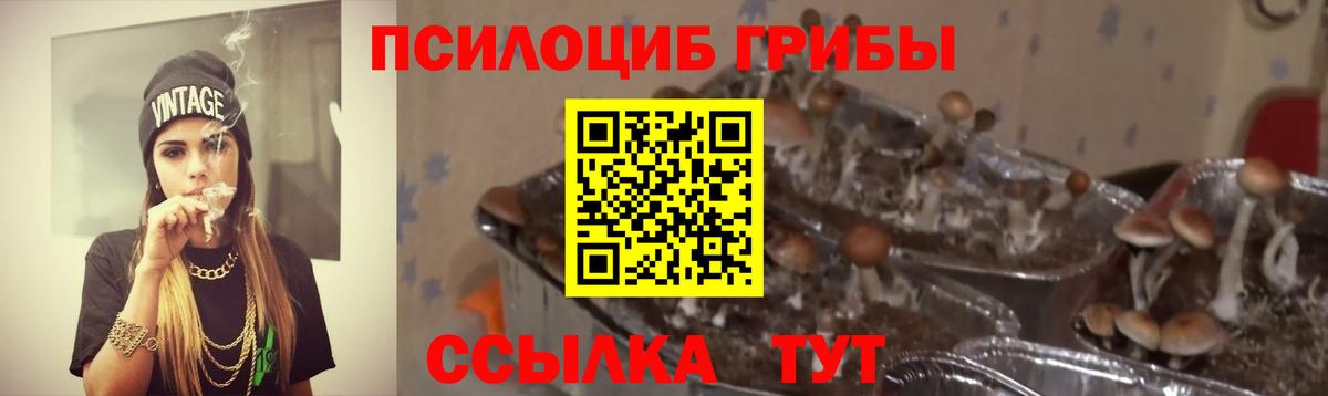 Галлюциногенные грибы прущие грибы  Вход с VPN  Азов 